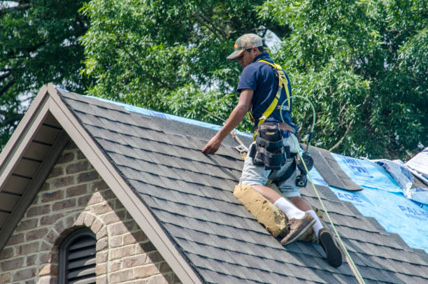 Best Residential Roof Replacement  in West Salem, OH
